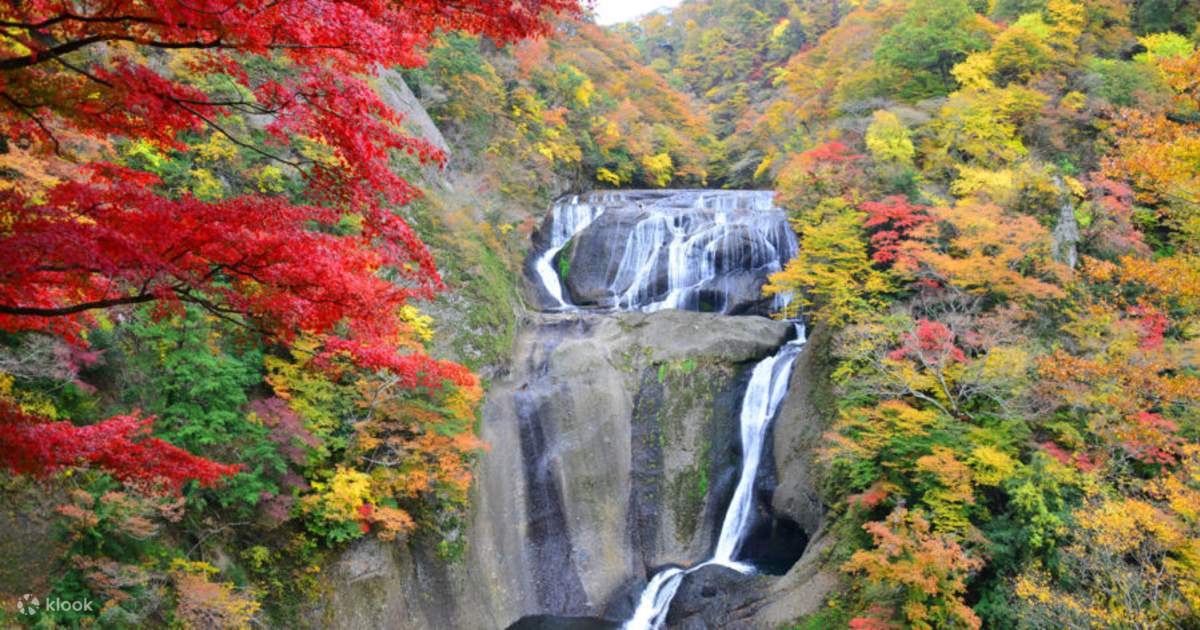 Bronze/Orange Road/Waterfall 永井博 一十三十一 BRONZE（ブロンズ）『With The Star（2019年）』File0124